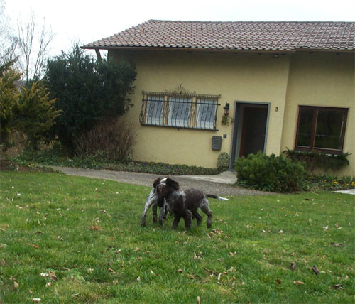 Allerlei%20(1)