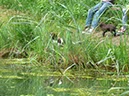 K-Wurf 2010-06-03 024