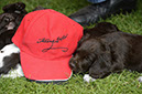 %_tempFileNameO-Wurf%20Woche%206%20(74)%