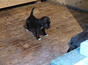 Lumix_Test 009
